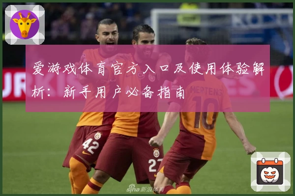 爱游戏体育官方入口及使用体验解析：新手用户必备指南