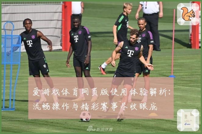 爱游戏体育网页版使用体验解析：流畅操作与精彩赛事尽收眼底