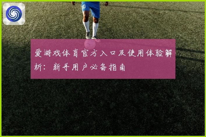 爱游戏体育官方入口及使用体验解析：新手用户必备指南